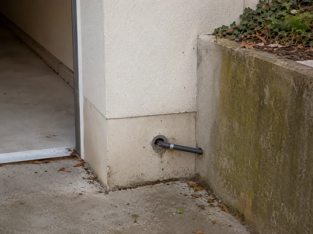 Typische Schädlingssituation in einem Gebäude in Heiligenhaus