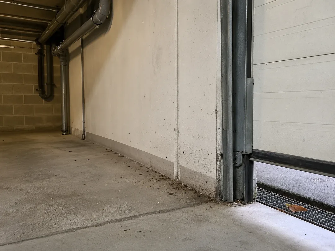 Typische Schädlingssituation in einem Gebäude in Hochdahl
