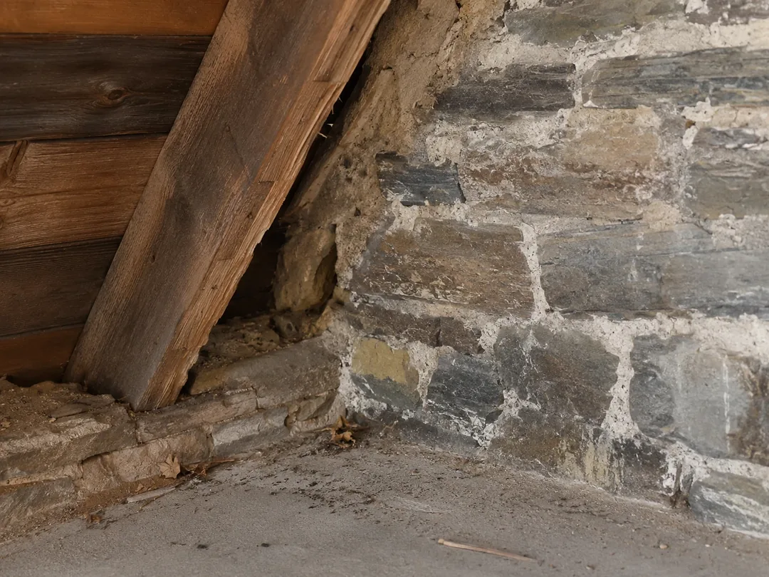 Typische Schädlingssituation in einem Gebäude in Kettwig