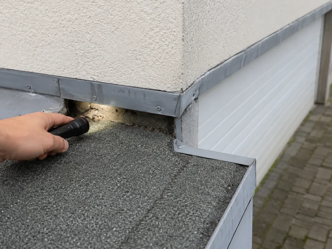 Professionelle Prüfung möglicher Schädlingsspuren in Langenfeld